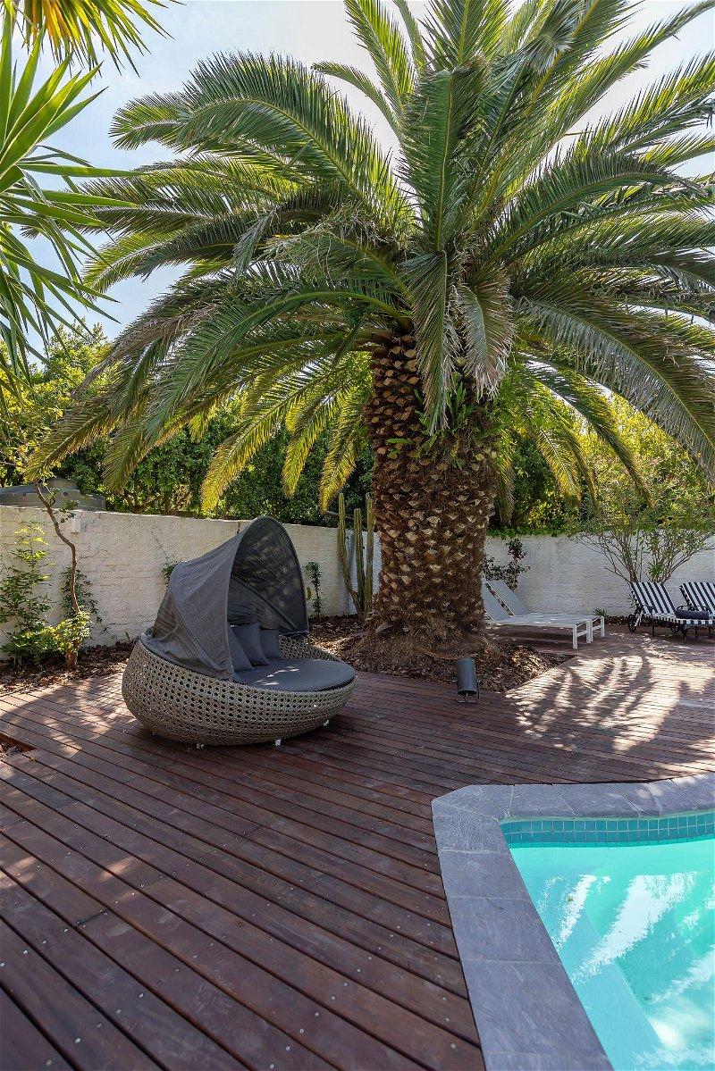 Africa Lodge 서머싯웨스트 외부 사진